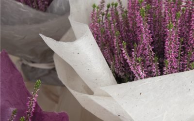 Stijlvol “Coated Silk” papier